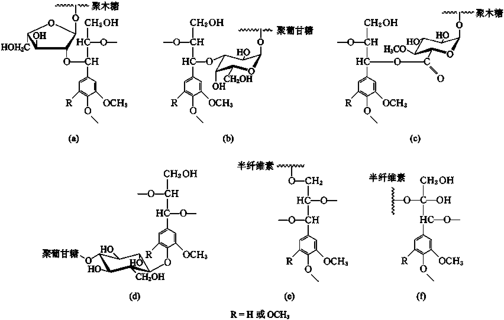 三、木質(zhì)素-碳水化合物復(fù)合體